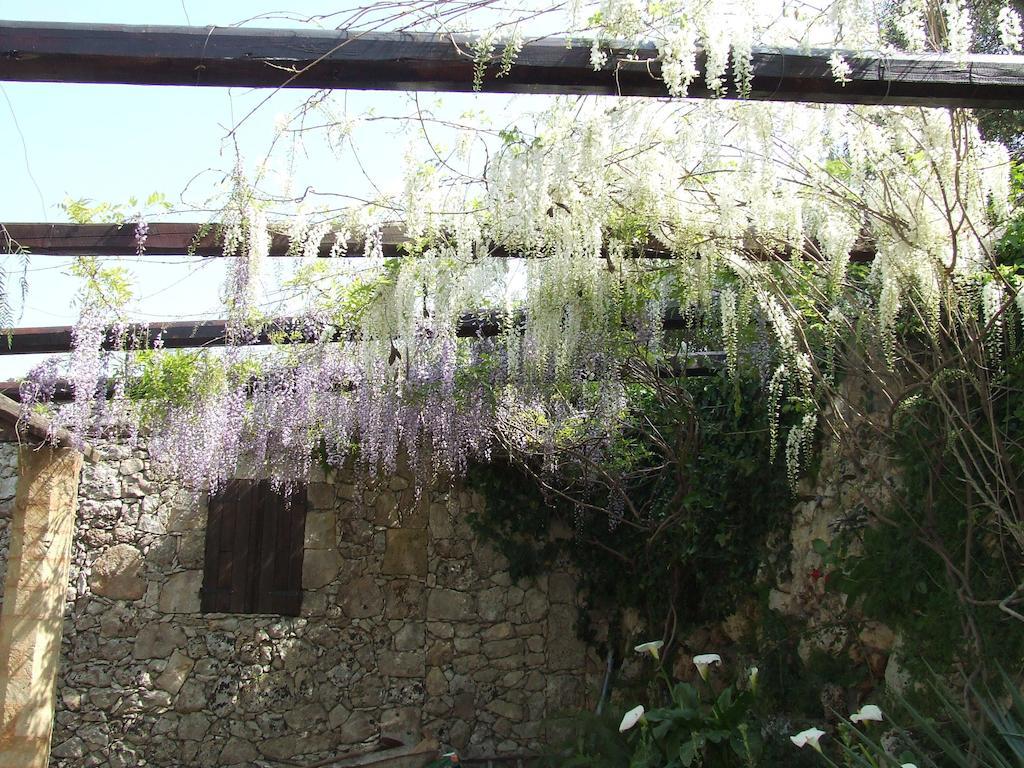 Residencefusaro Pajare Specchia Luaran gambar